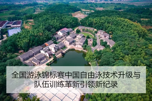 全国游泳锦标赛中国自由泳技术升级与队伍训练革新引领新纪录